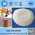 Bone Collagen Powder